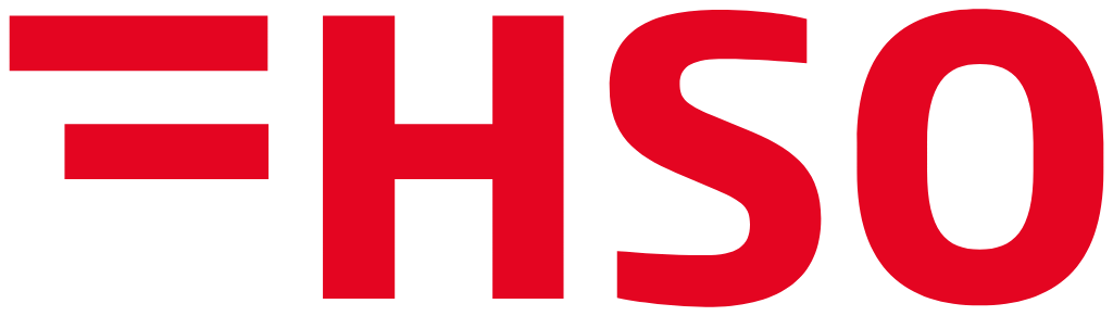 HSO Wirtschaftsschule Logo